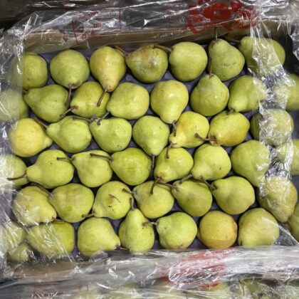 Pears Anjou
