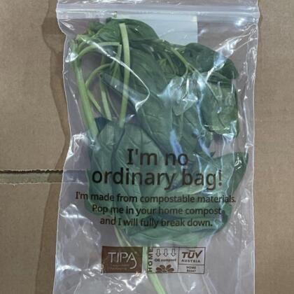 Basil