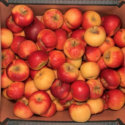 Apples Evita Mole End