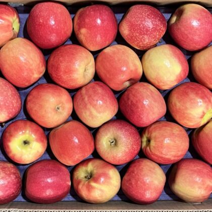 Apples Cripps Pink