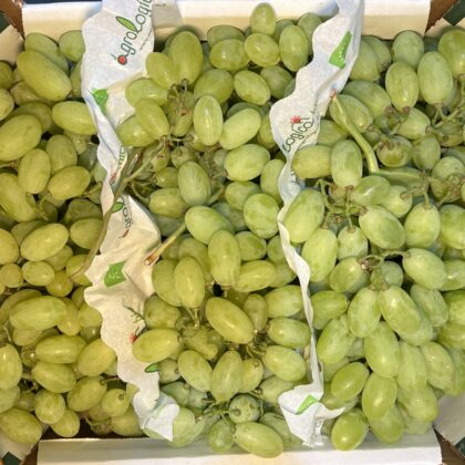 Grapes White Vittoria