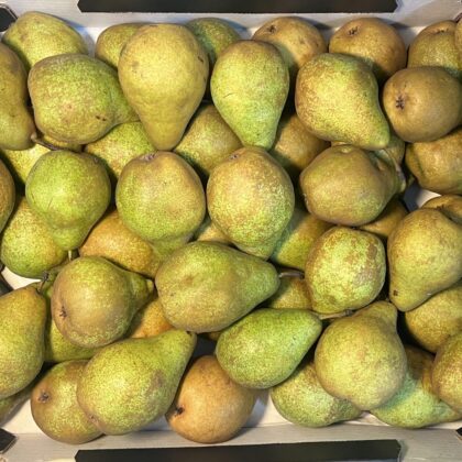 Pears Xenia