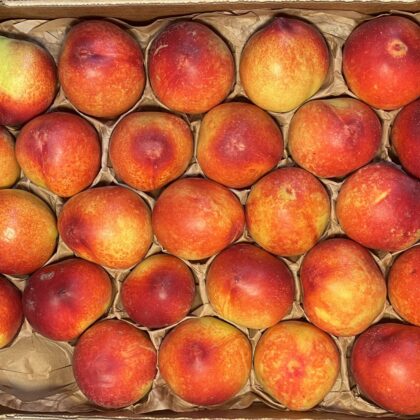Nectarines