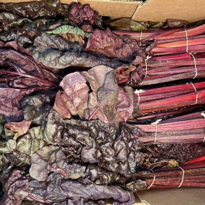 Chard Red Swiss Bunched