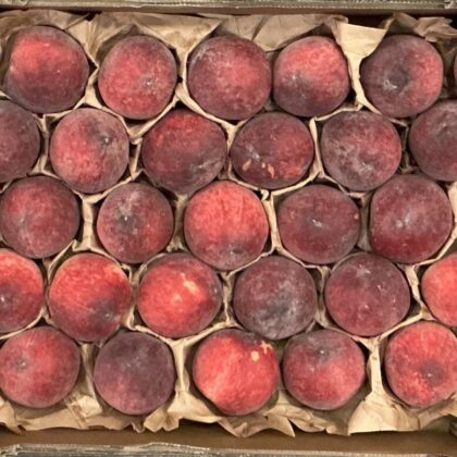 Peach