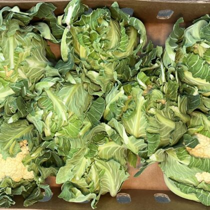 Cauliflower