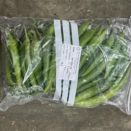 Pepper Chilli Green