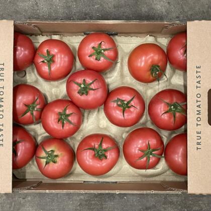 Tomatoes Beefsteak Red Tomato Stall