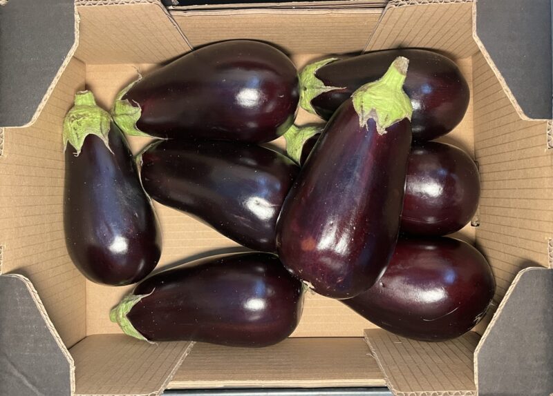 Aubergine