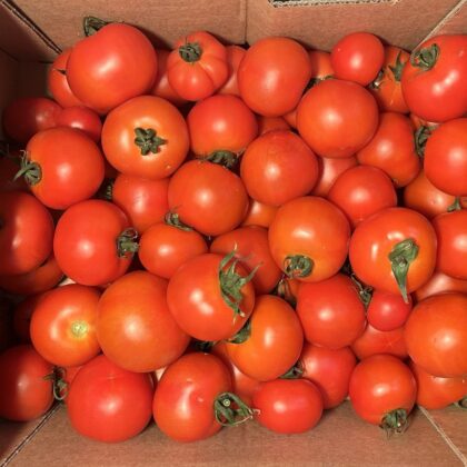 Tomatoes Loose