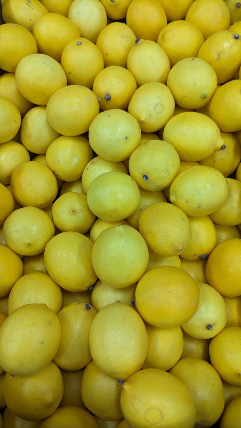 Lemons Interdonato