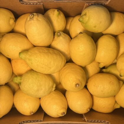 Lemons Interdonato
