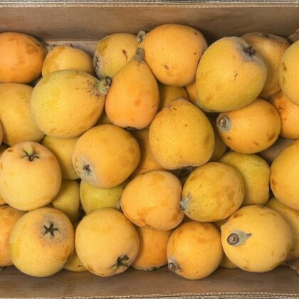 Loquats