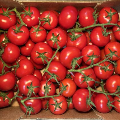 Tomatoes Vine Tomato Stall