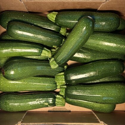 Courgettes