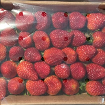 Strawberries Tray