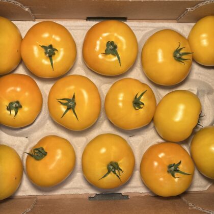 Tomatoes Beefsteak Yellow Tomato Stall