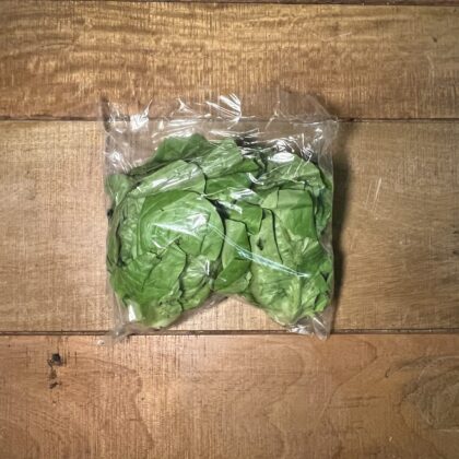 Lettuce Little Gem