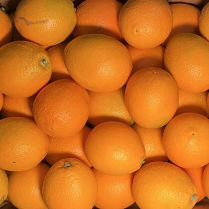 Oranges Regular Cal 8