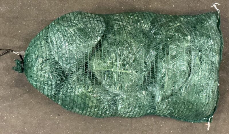 Cavolo Nero Pre-Packed - Image 2