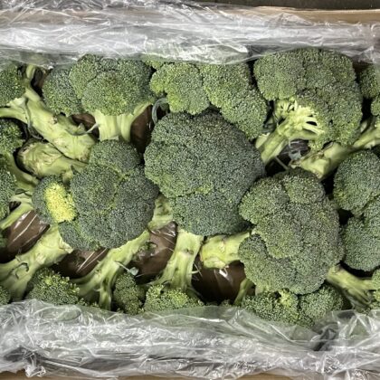 Broccoli