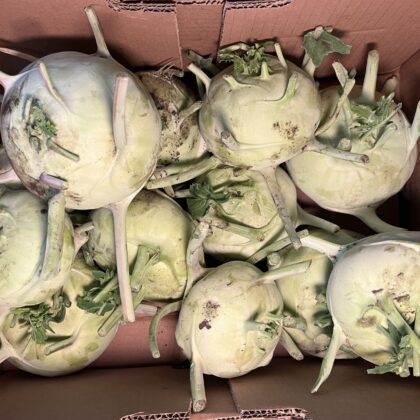 Kohl Rabi Green