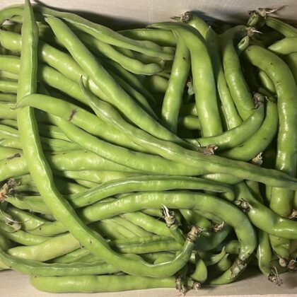 Broad Beans