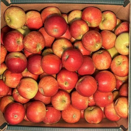 Apples Windsor Mole End