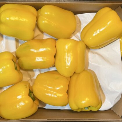 Peppers Yellow