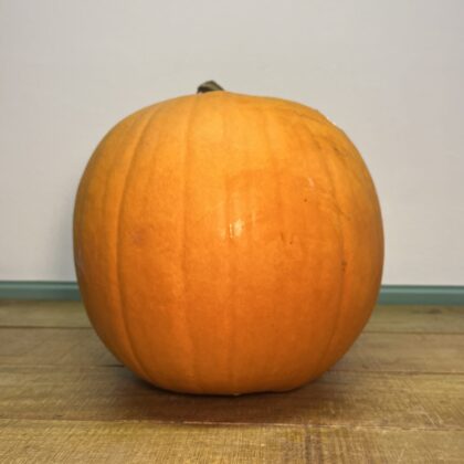 Pumpkin X Large