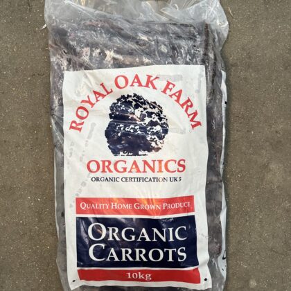 Carrots Purple Loose