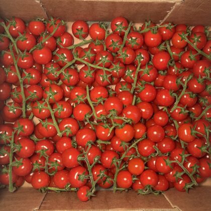 Tomatoes Cherry Vine
