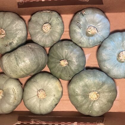 Squash Crown Price