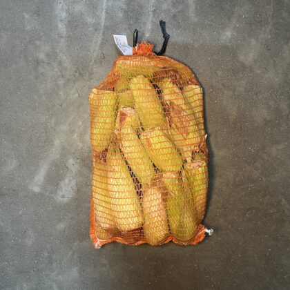 Sweetcorn Hopi Rainbow
