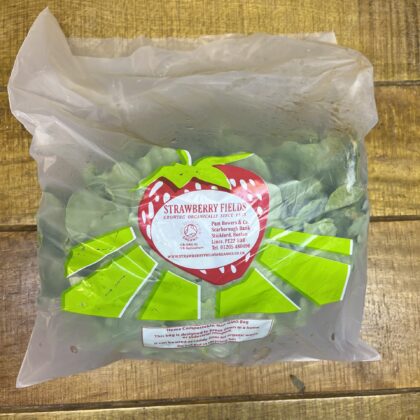 Lettuce Oakleaf Green