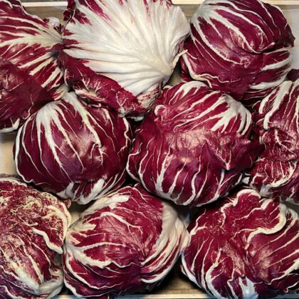 Lettuce Radicchio