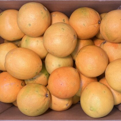 Orange Large