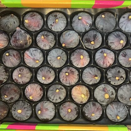 Figs Black Bourjassette Large