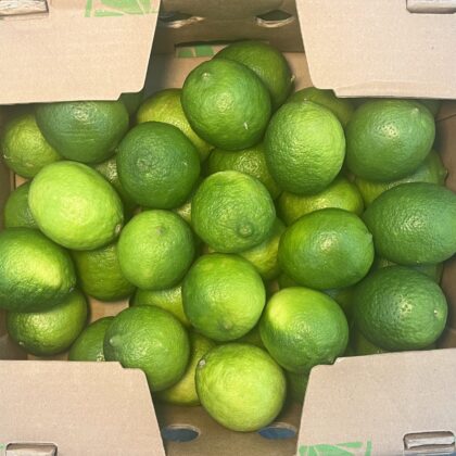 Limes