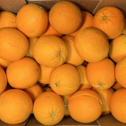 Oranges  Regular