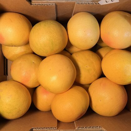 Grapefruit Star Ruby