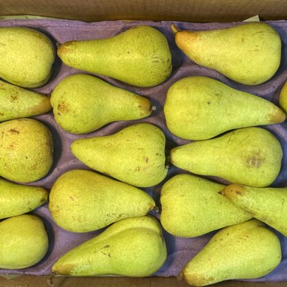 Pears Abate Large