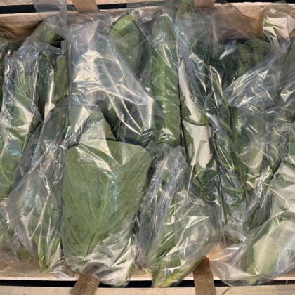 Spring Greens Pre-Pack