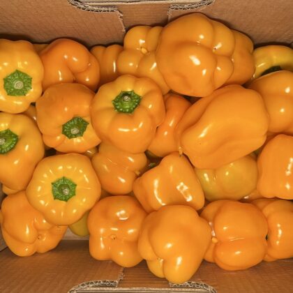 Peppers Yellow Small