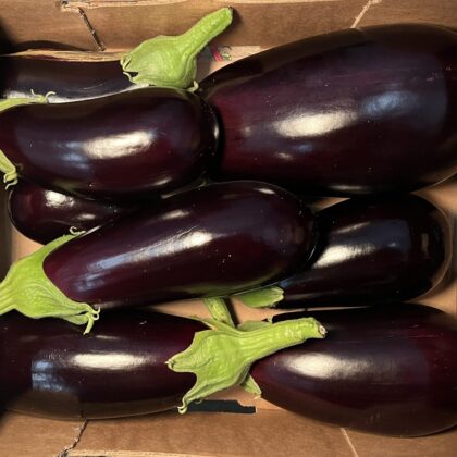 Aubergine Large