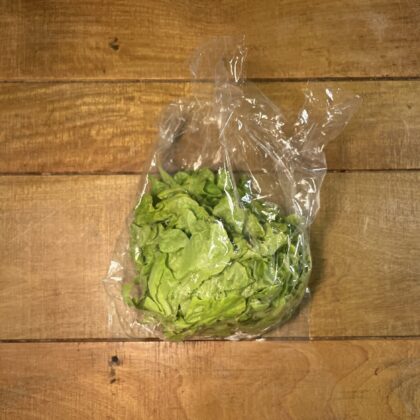 Lettuce Batavia Green