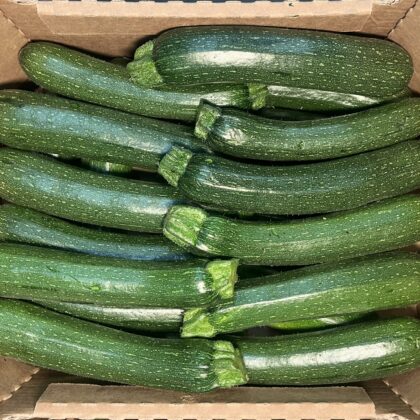 Courgettes