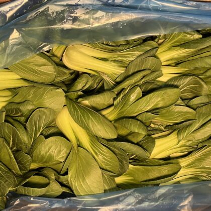Pak Choi
