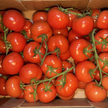 Tomatoes Vine