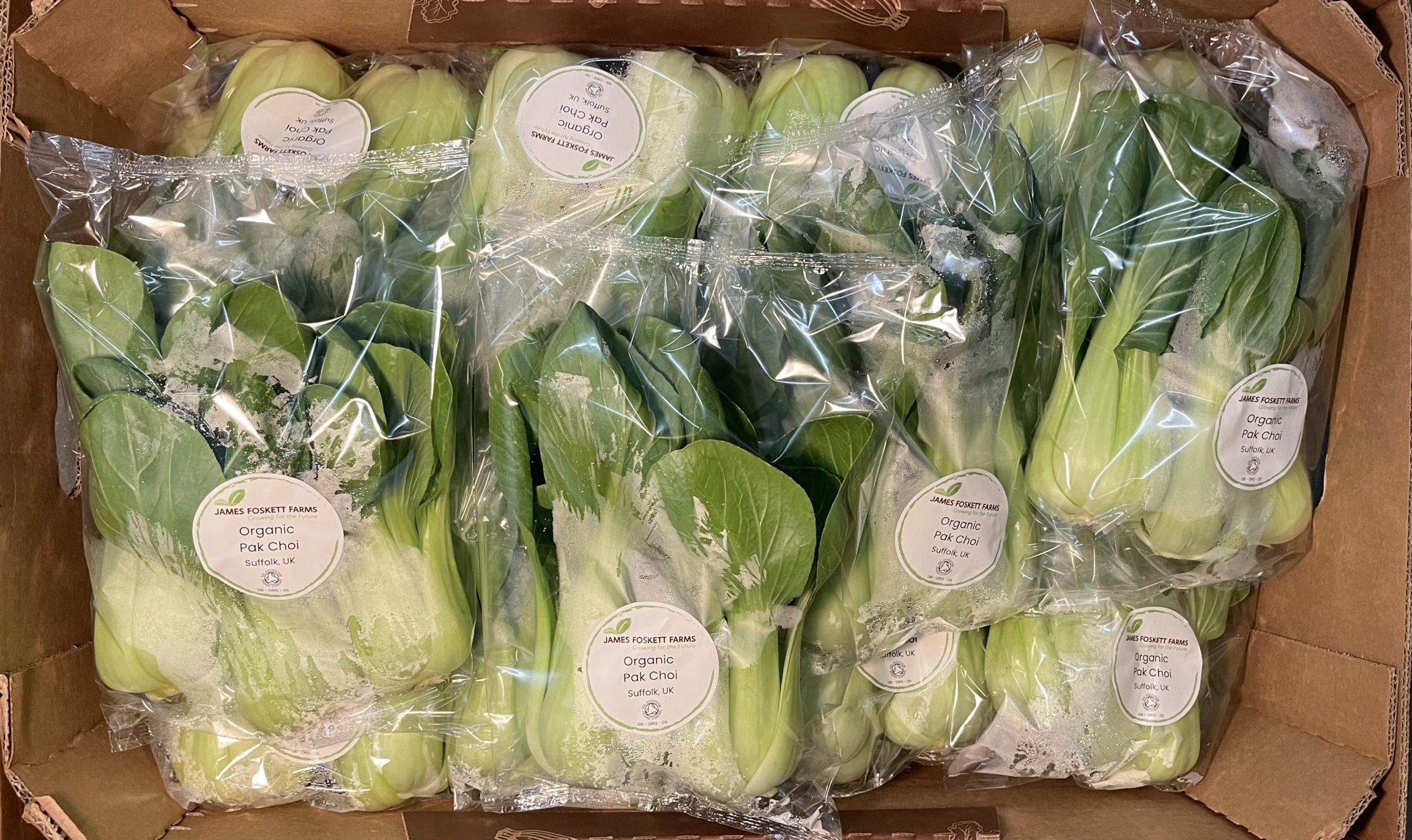 Pak Choi Pre-Pack - Image 2